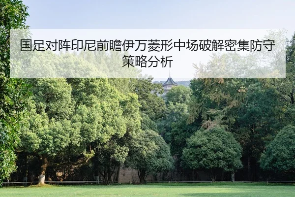 国足对阵印尼前瞻伊万菱形中场破解密集防守策略分析