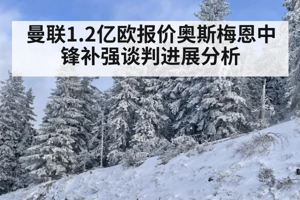 曼联1.2亿欧报价奥斯梅恩中锋补强谈判进展分析