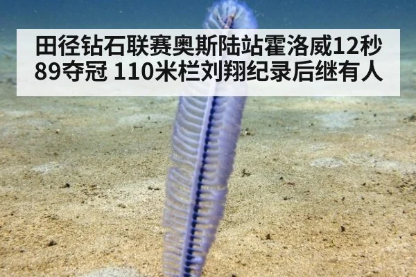 田径钻石联赛奥斯陆站霍洛威12秒89夺冠 110米栏刘翔纪录后继有人