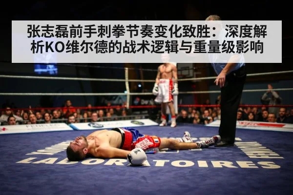 张志磊前手刺拳节奏变化致胜：深度解析KO维尔德的战术逻辑与重量级影响