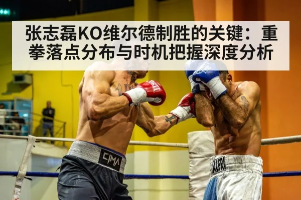 张志磊KO维尔德制胜的关键：重拳落点分布与时机把握深度分析